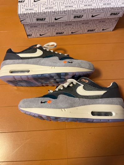 Kasina × Nike Air Max 1 "Won-Ang/Grey"
