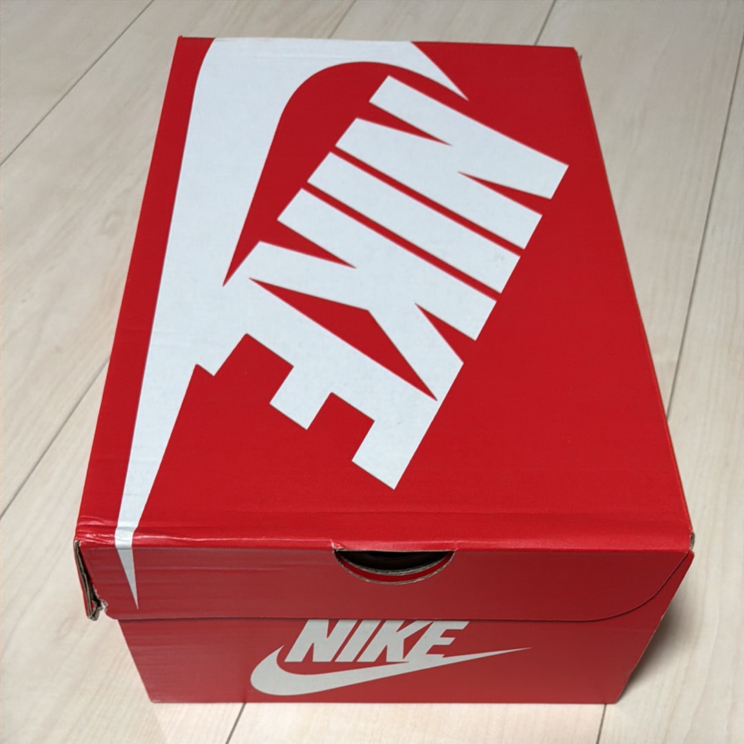 Nike Air Max 95 "Houseflies"