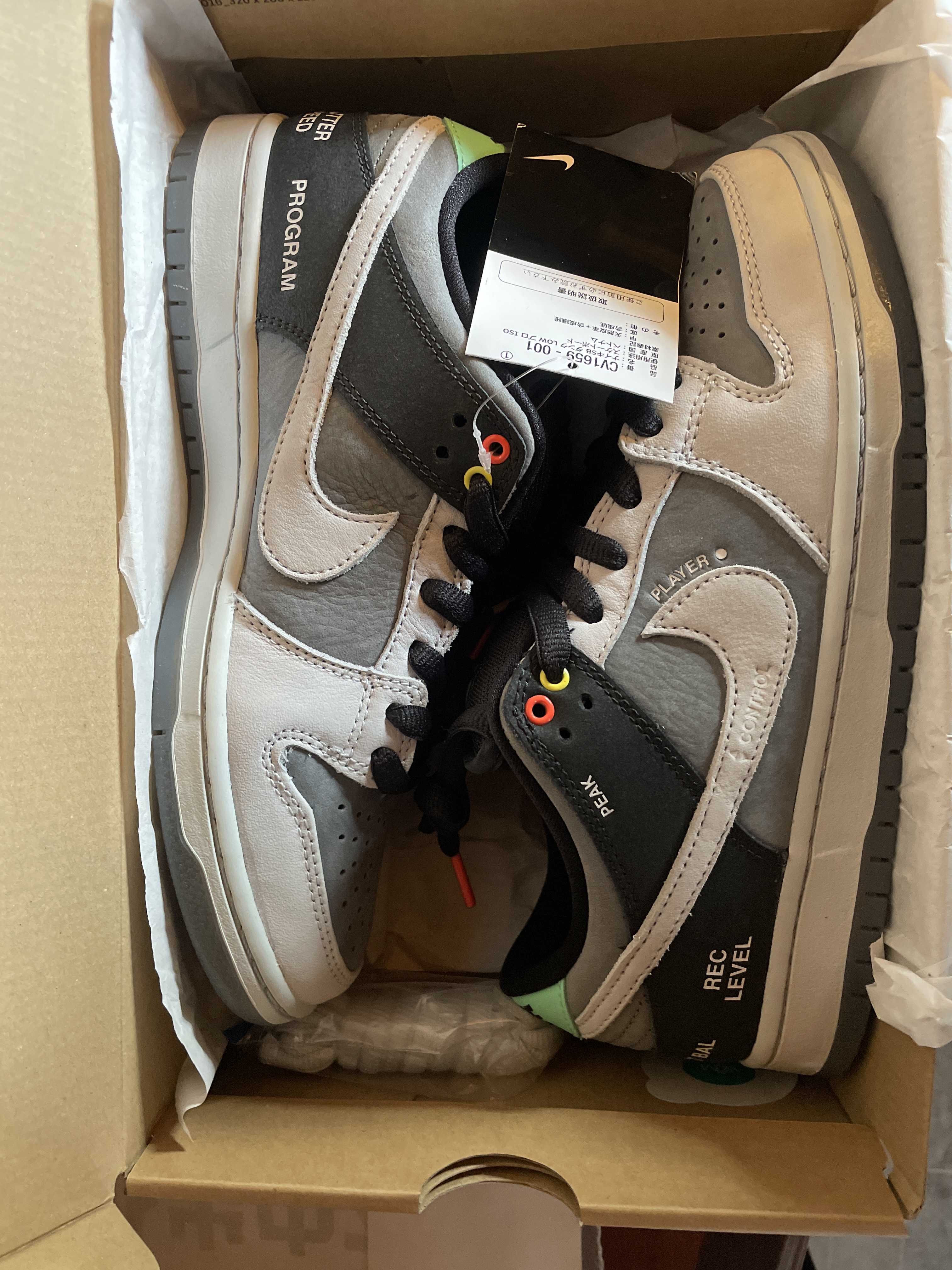 Nike SB Dunk Low Pro "VX1000 Camcorder"