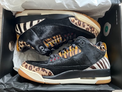 Nike Air Jordan 3 Retro SE "Animal Instinct/Safari"