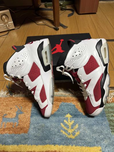 Nike Air Jordan 6 "Carmine" (2021)