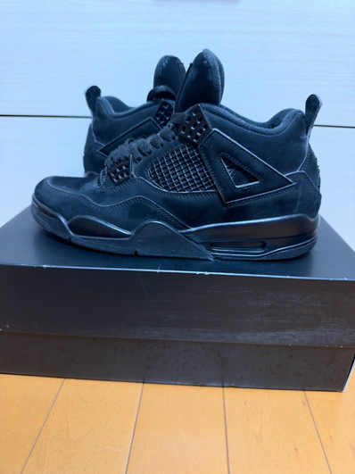 Nike Air Jordan 4 "Black Cat"