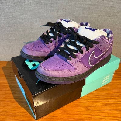 Concepts × Nike SB Dunk Low "Purple Lobster"