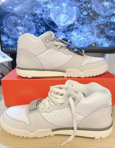 Nike Air Trainer 1 "Photon Dust/Light Smoke"