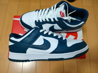 Nike Dunk Low "Valerian Blue"