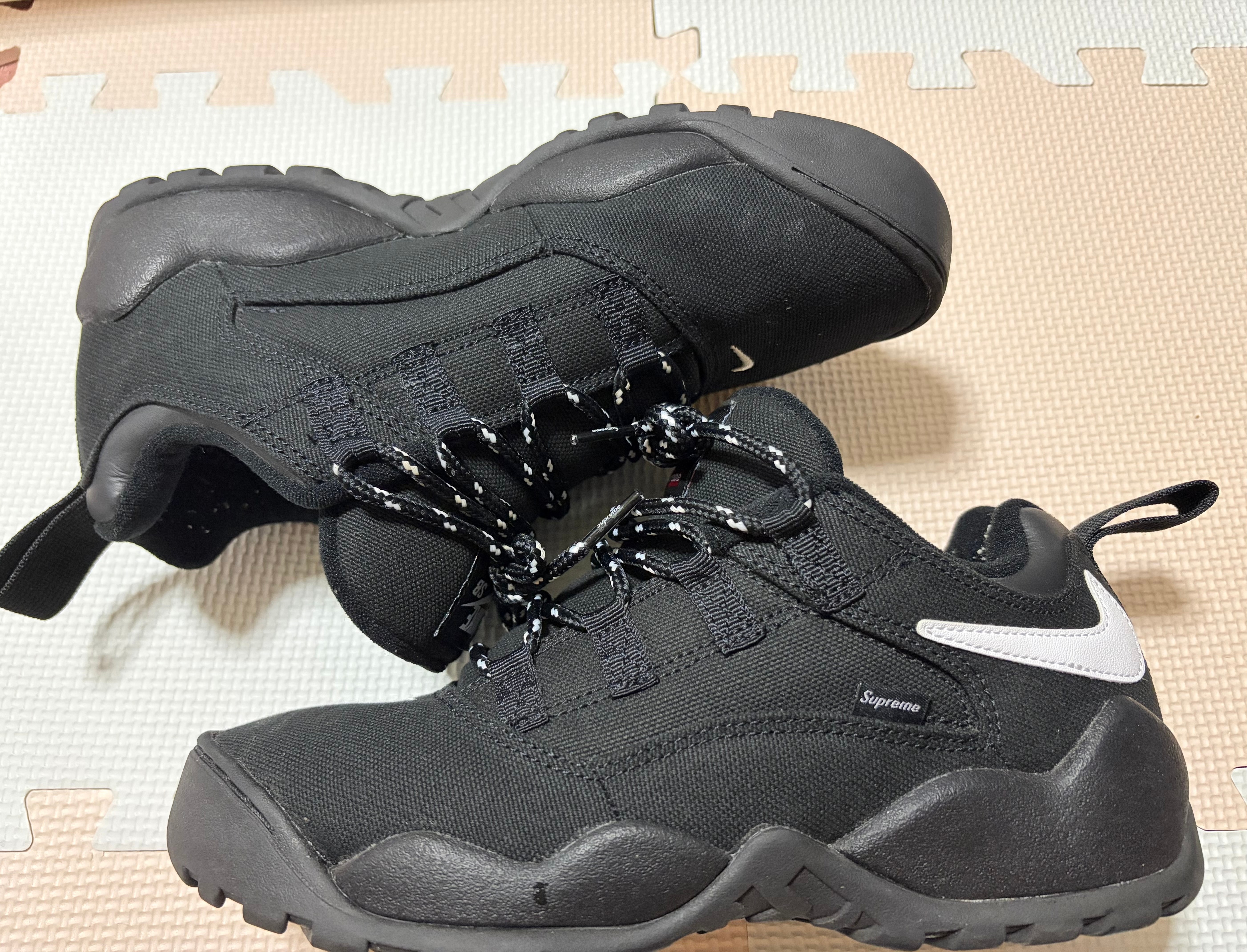 Supreme × Nike SB Darwin Low "Black"