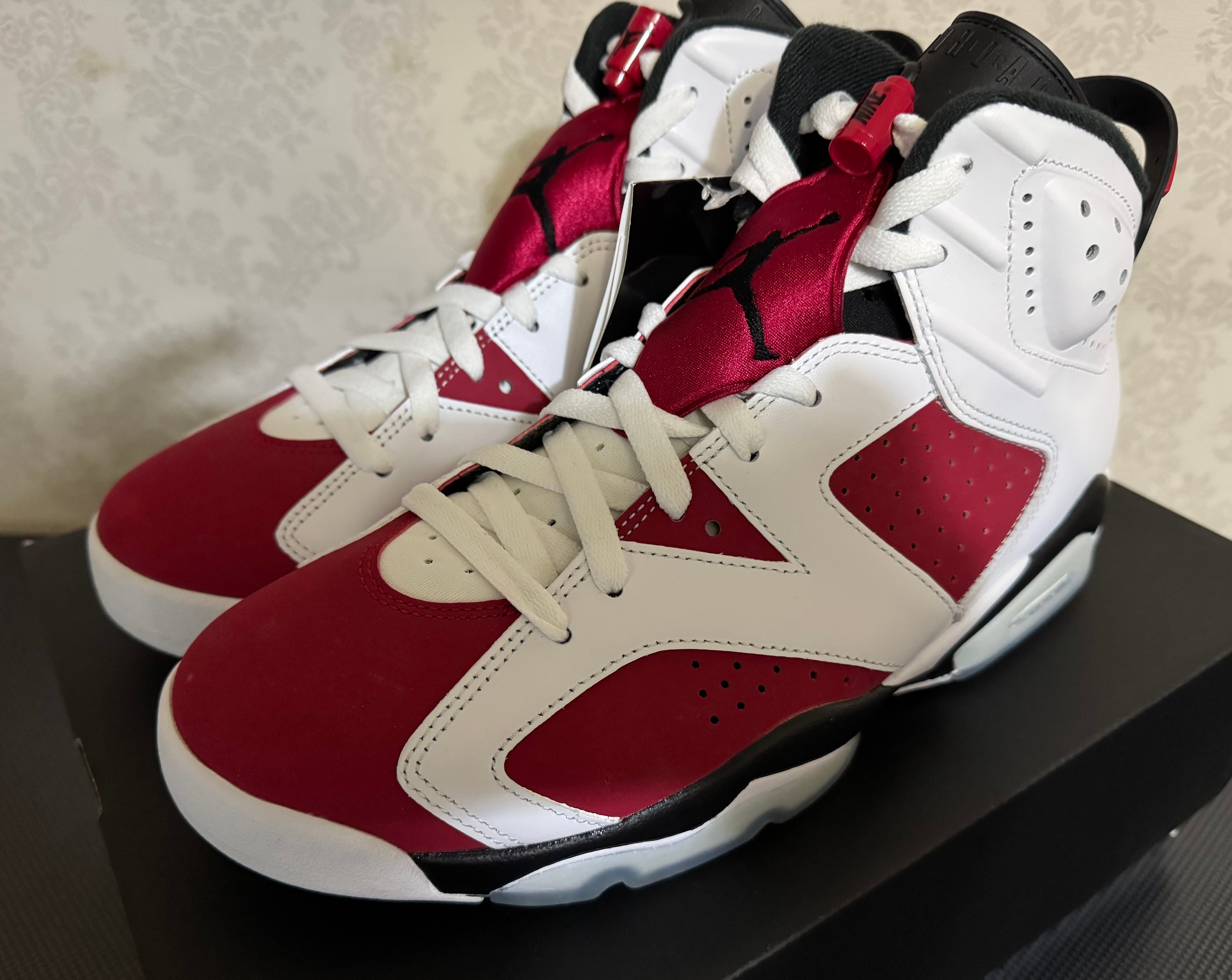 Nike Air Jordan 6 "Carmine" (2021)