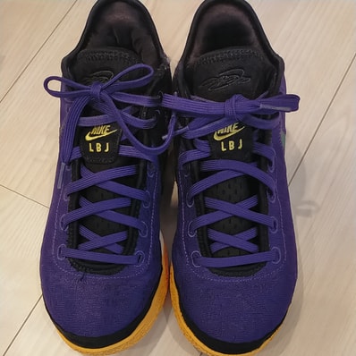 Nike LeBron NXXT Gen "Lakers"