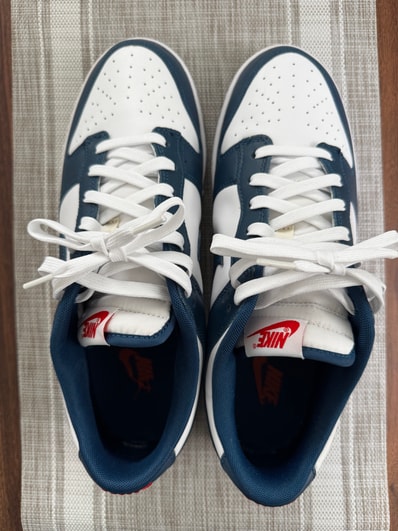 Nike Dunk Low "Valerian Blue"