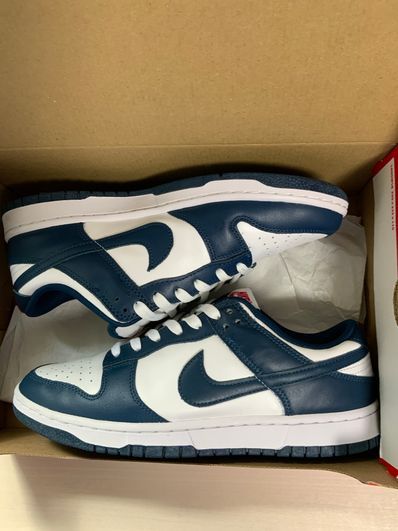 Nike Dunk Low "Valerian Blue"