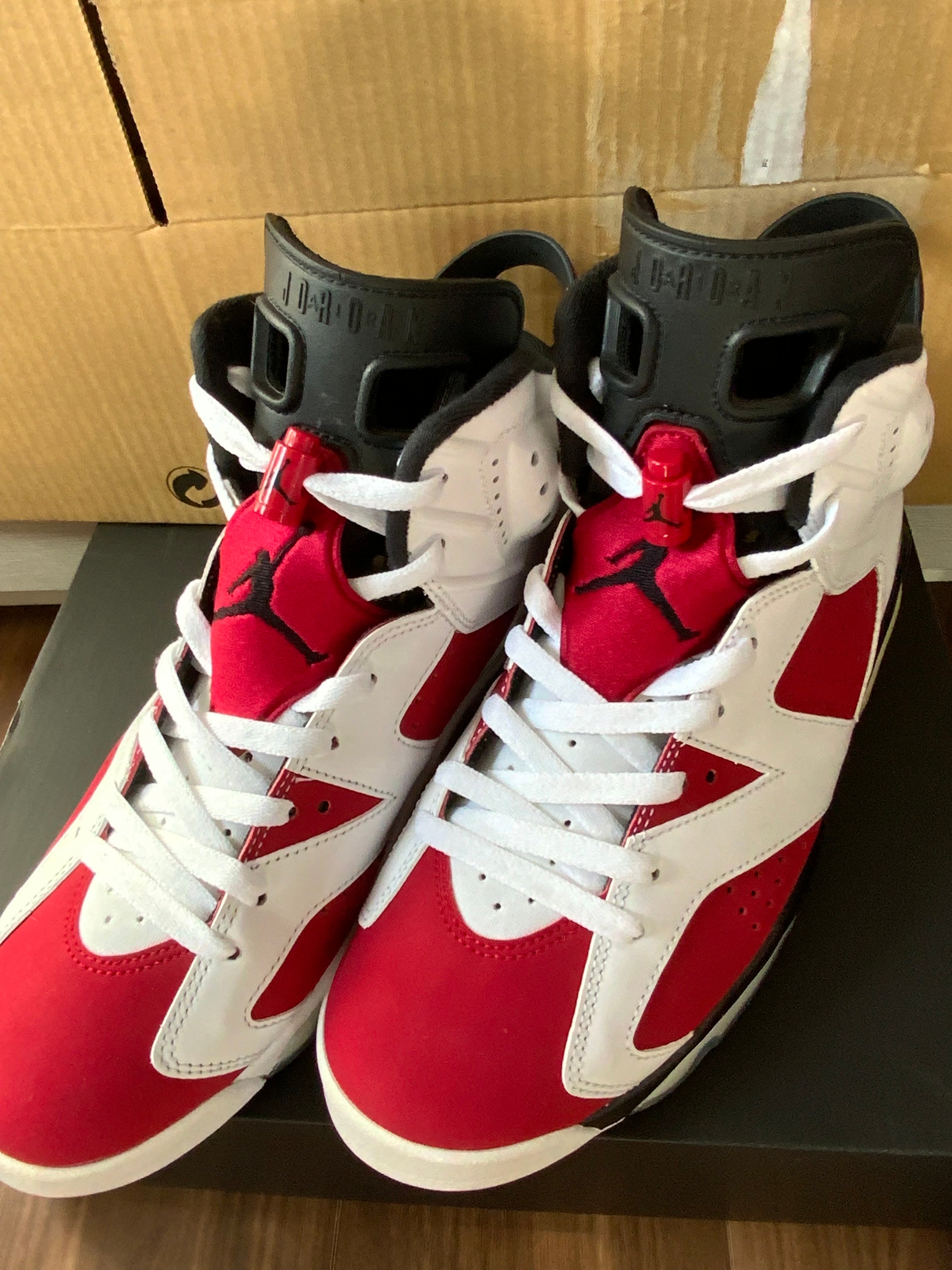 Nike Air Jordan 6 "Carmine" (2021)