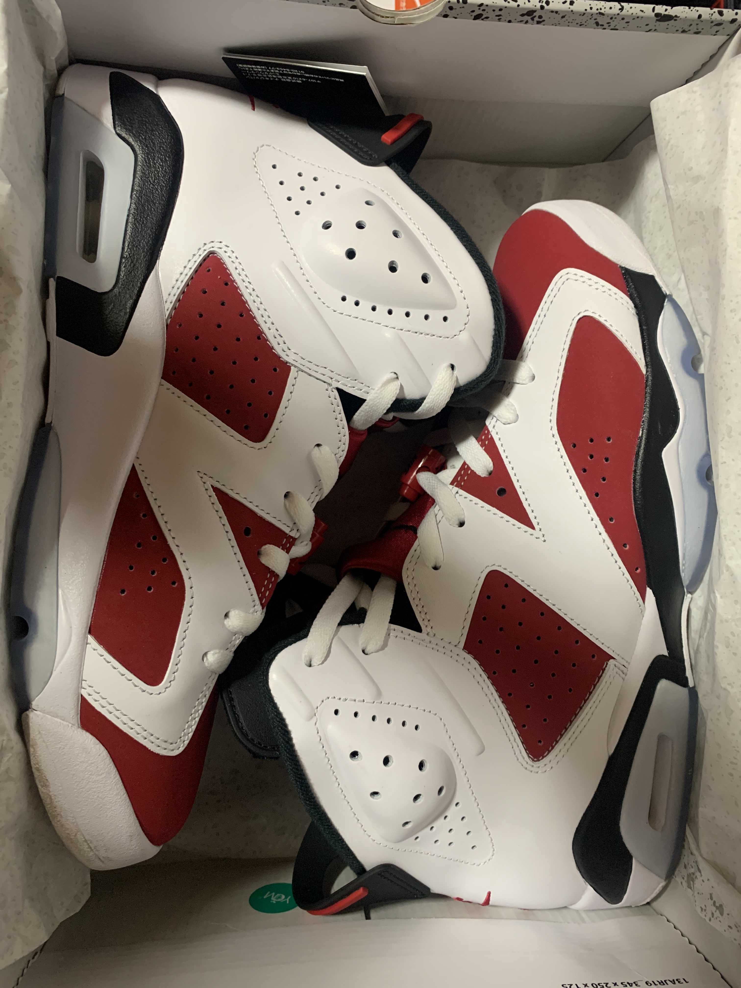 Nike Air Jordan 6 "Carmine" (2021)