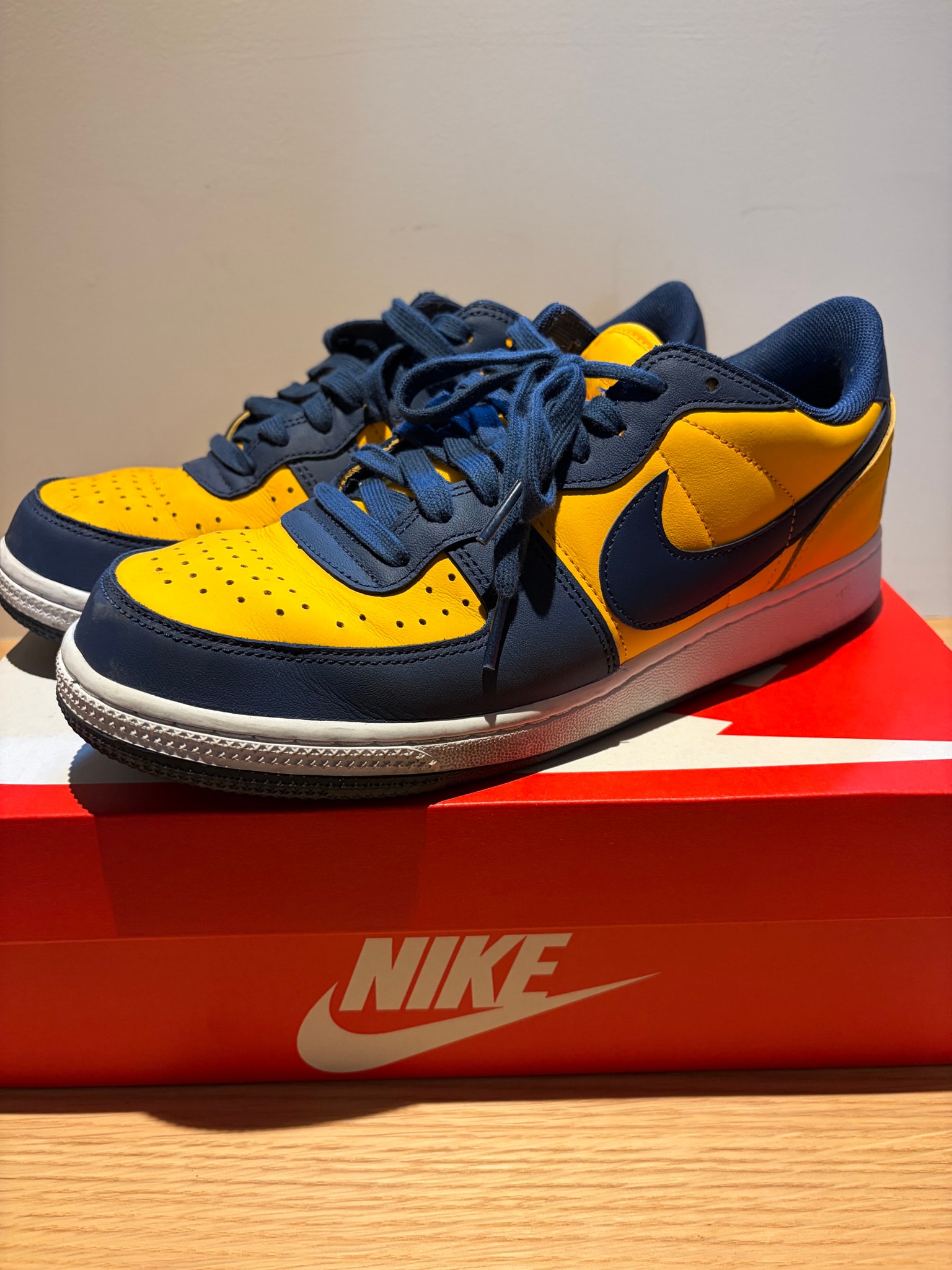 Nike Terminator Low "University Gold and Navy/Michigan"