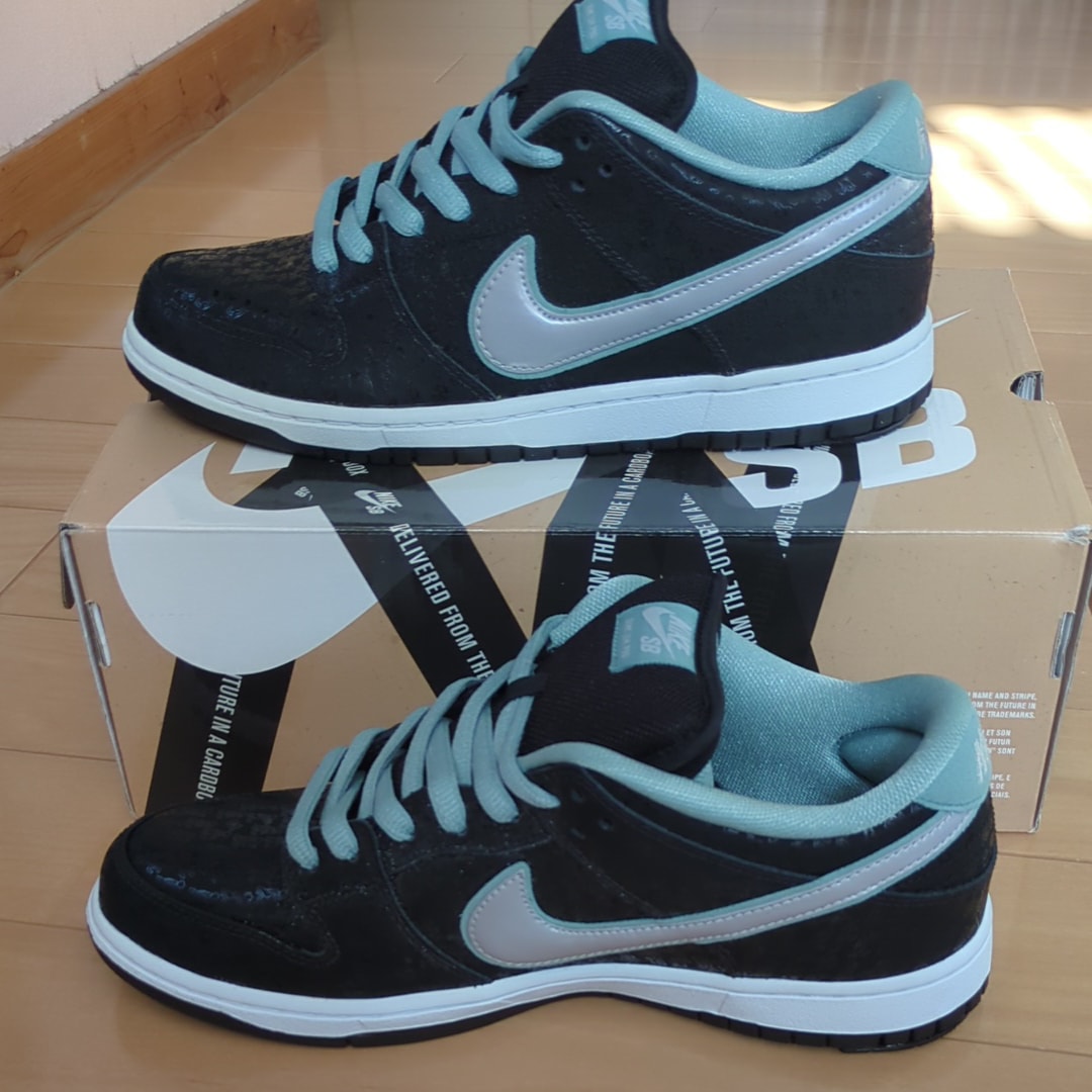 スケート・パーク・オブ・タンパ × ナイキ ダンク SB ロー "ランスマウンテン"