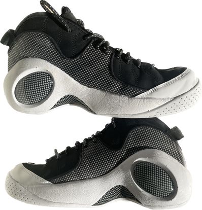 Nike Air Zoom Flight 95 "Black Metallic" (2022)