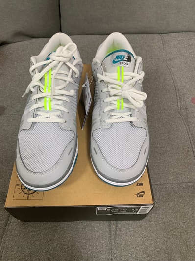 Nike Women's Dunk Low "Grey Fog and Blustery"
