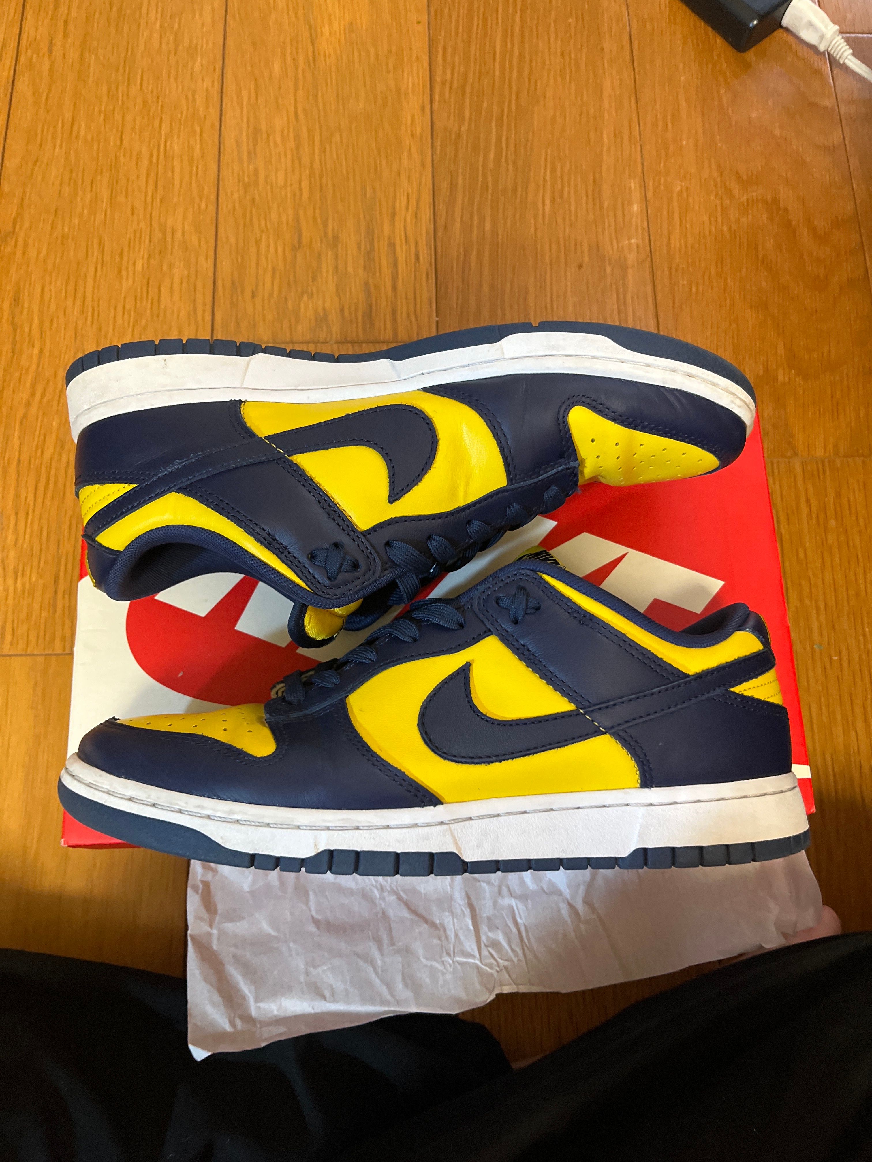 Nike Dunk Low "Michigan"