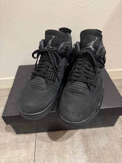 Nike Air Jordan 4 Retro OG "Black Cat" (2025)