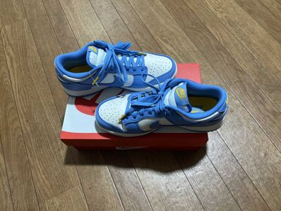 Nike Women's Dunk Low "Coast"