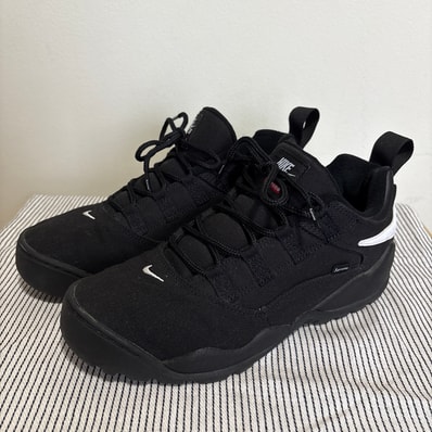 Supreme × Nike SB Darwin Low "Black"