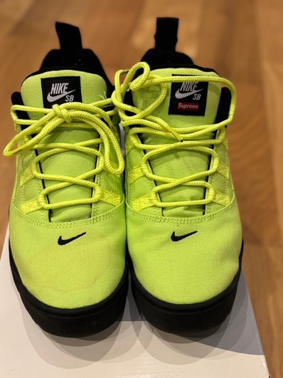 Supreme × Nike SB Darwin Low "Green"