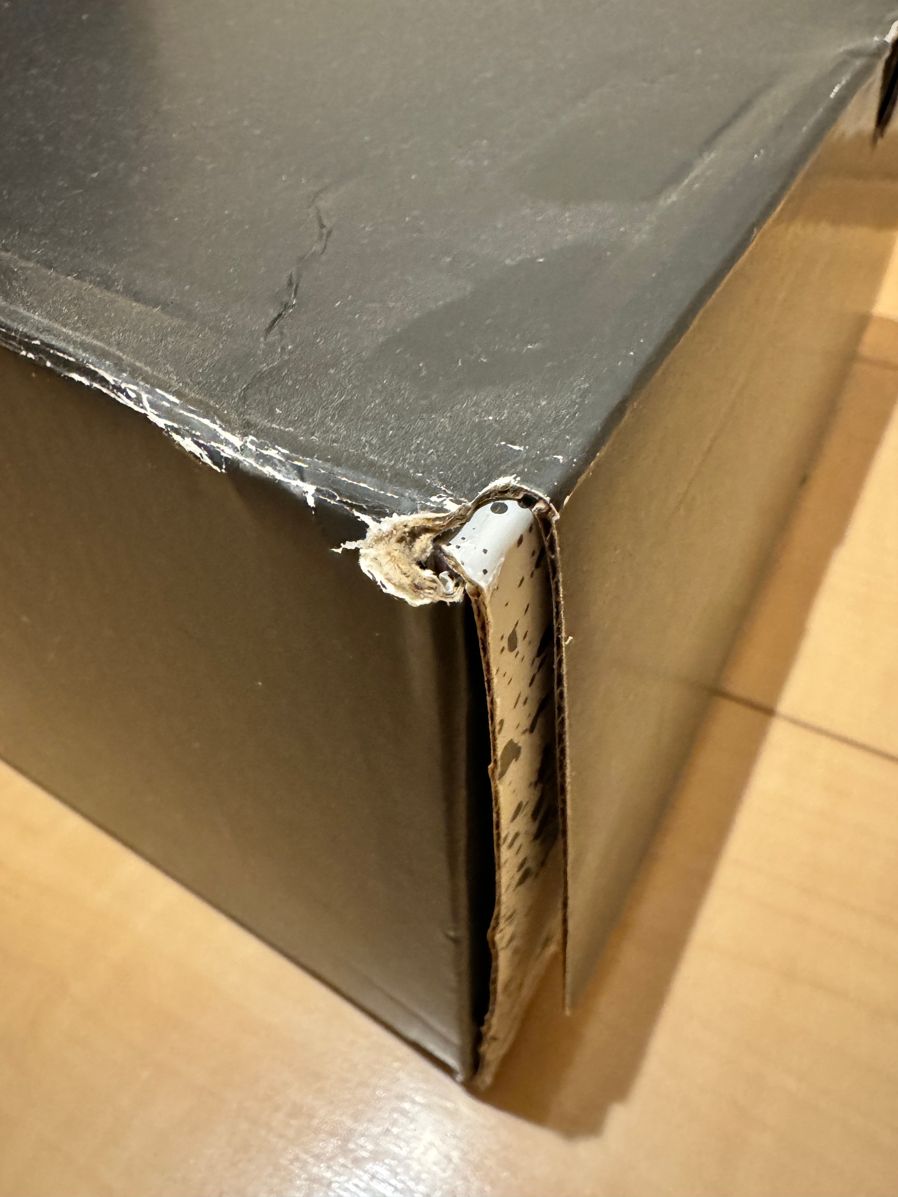 ナイキ エアジョーダン6 "カーマイン" (2021)