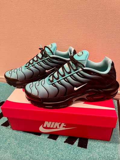 Nike Air Max Plus "Light Retro"