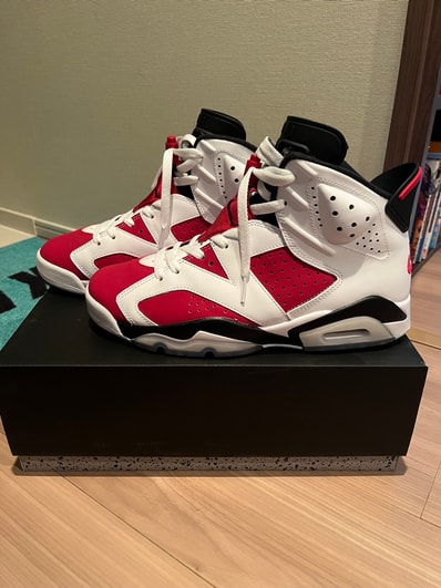 Nike Air Jordan 6 "Carmine" (2021)