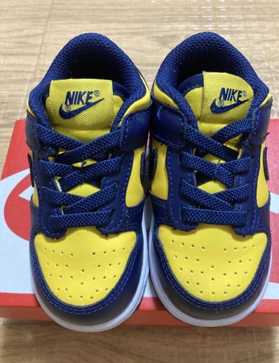 Nike TD Dunk Low "Michigan"