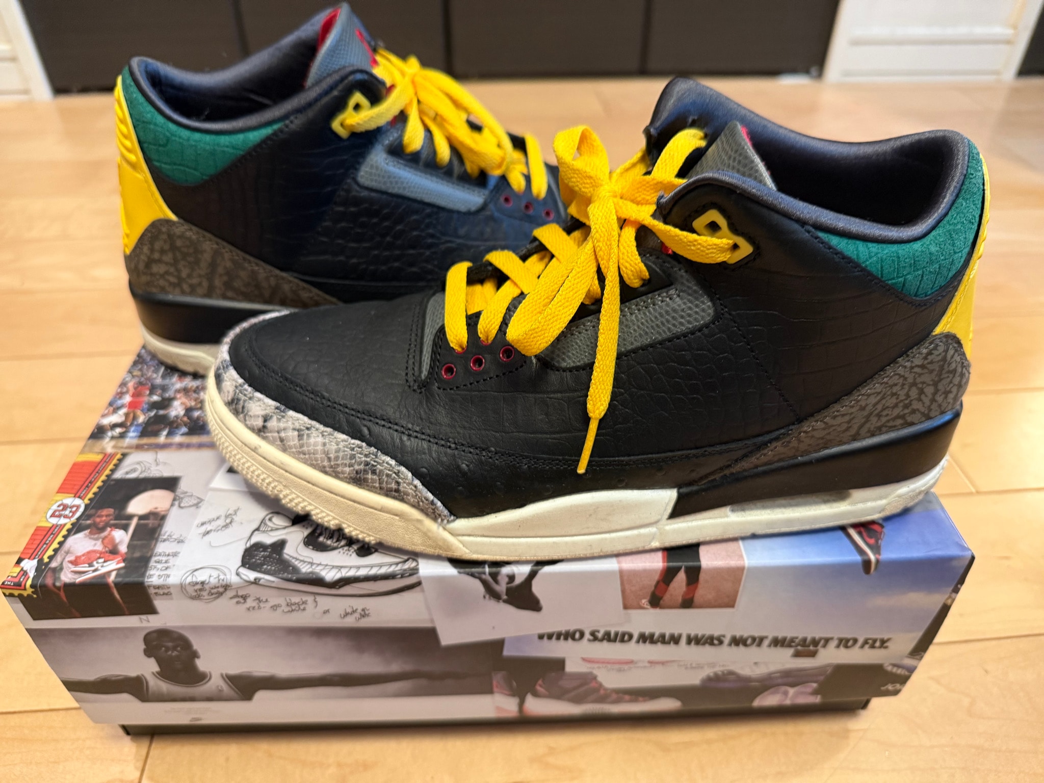 Nike Air Jordan 3 Retro SE "Animal Instinct 2.0/Safari"