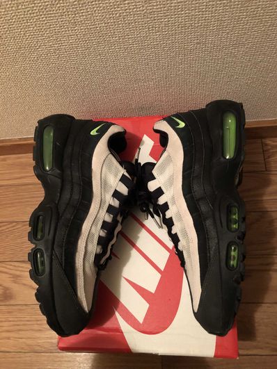 Nike Air Max 95 "Antifreeze" (2019)