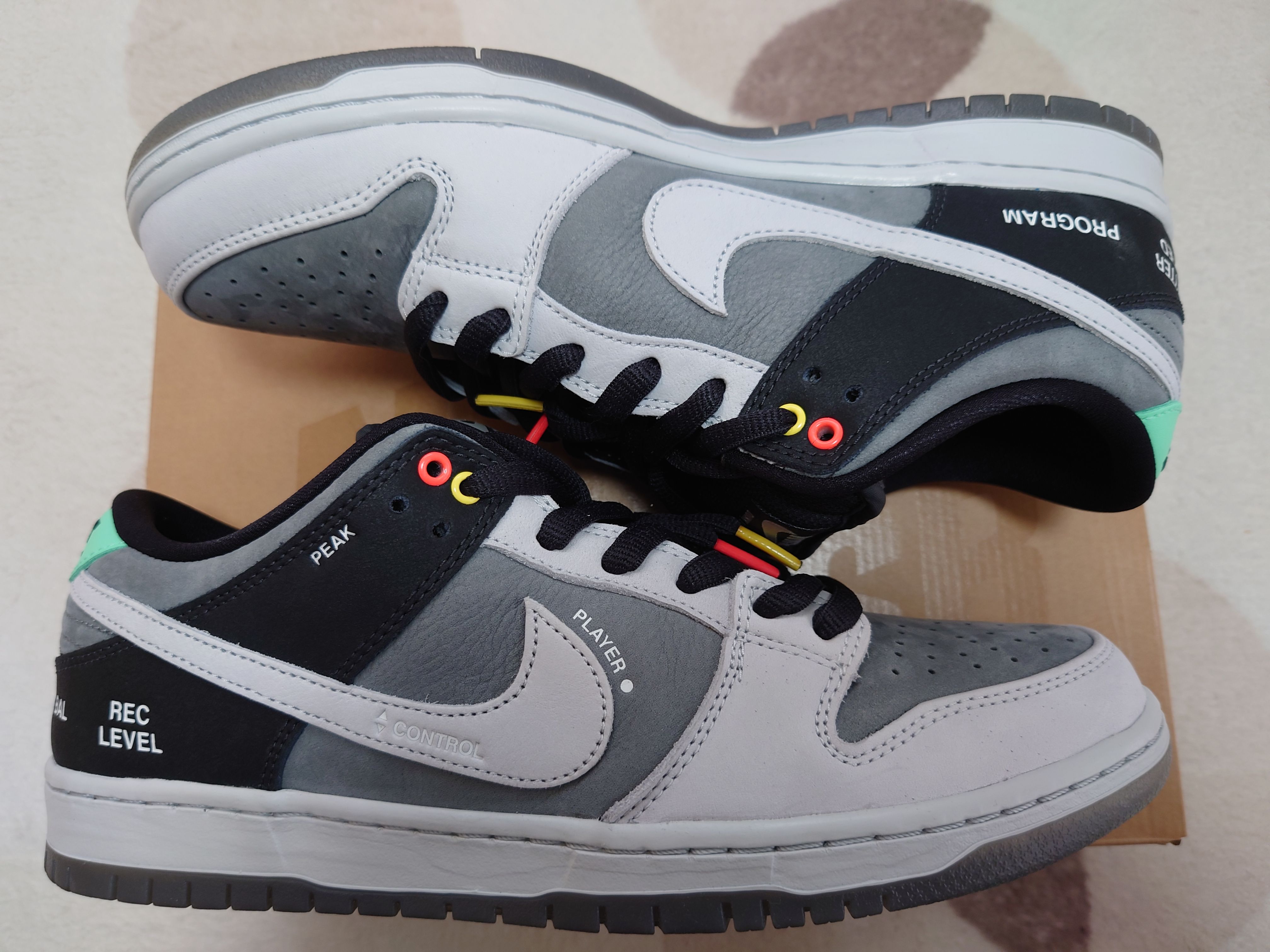 Nike SB Dunk Low Pro "VX1000 Camcorder"