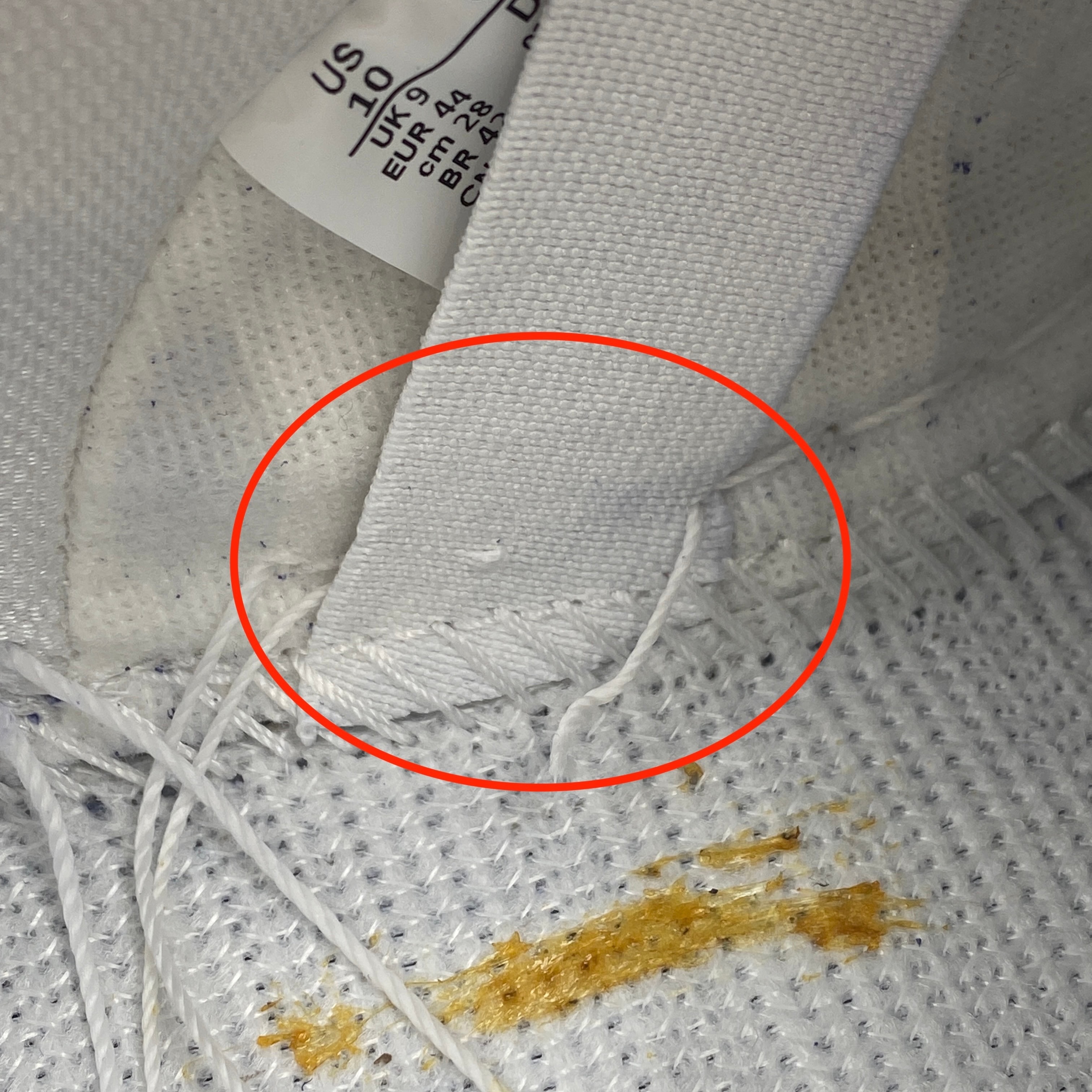 Nike SB Dunk Low "Los Angeles Dodgers/Deep Royal Blue"