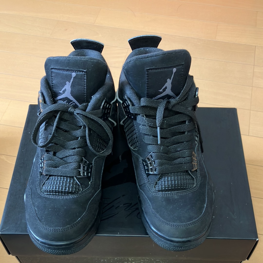 Nike Air Jordan 4 "Black Cat"