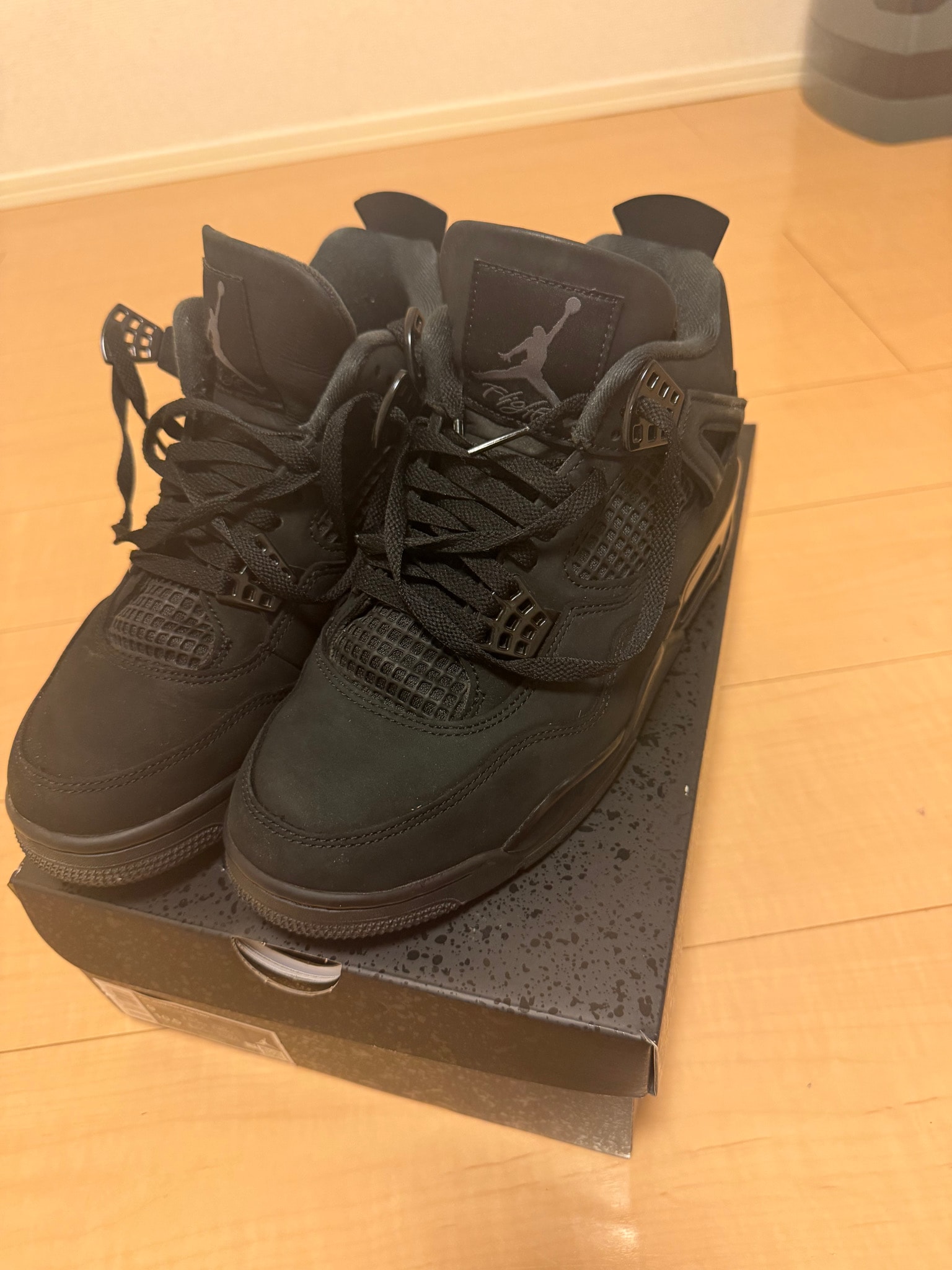 Nike Air Jordan 4 Retro OG "Black Cat" (2025)