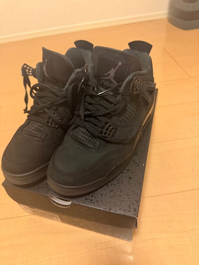 Nike Air Jordan 4 Retro OG "Black Cat" (2025)