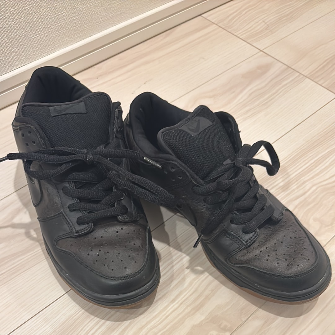 Nike SB Dunk Low "Ostrich"