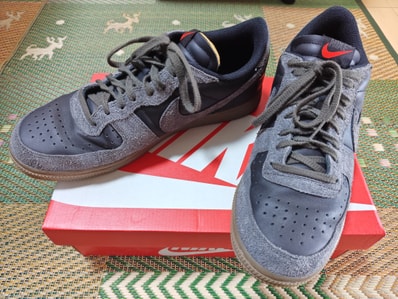 Nike Terminator Low "Black and Medium Ash"