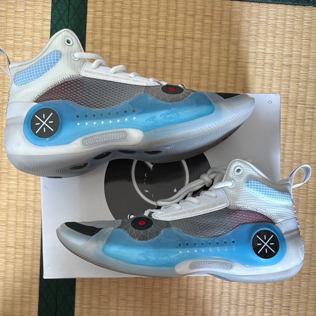 リーニン ウェイ オブ ウェイド10 "チームノースリープ"