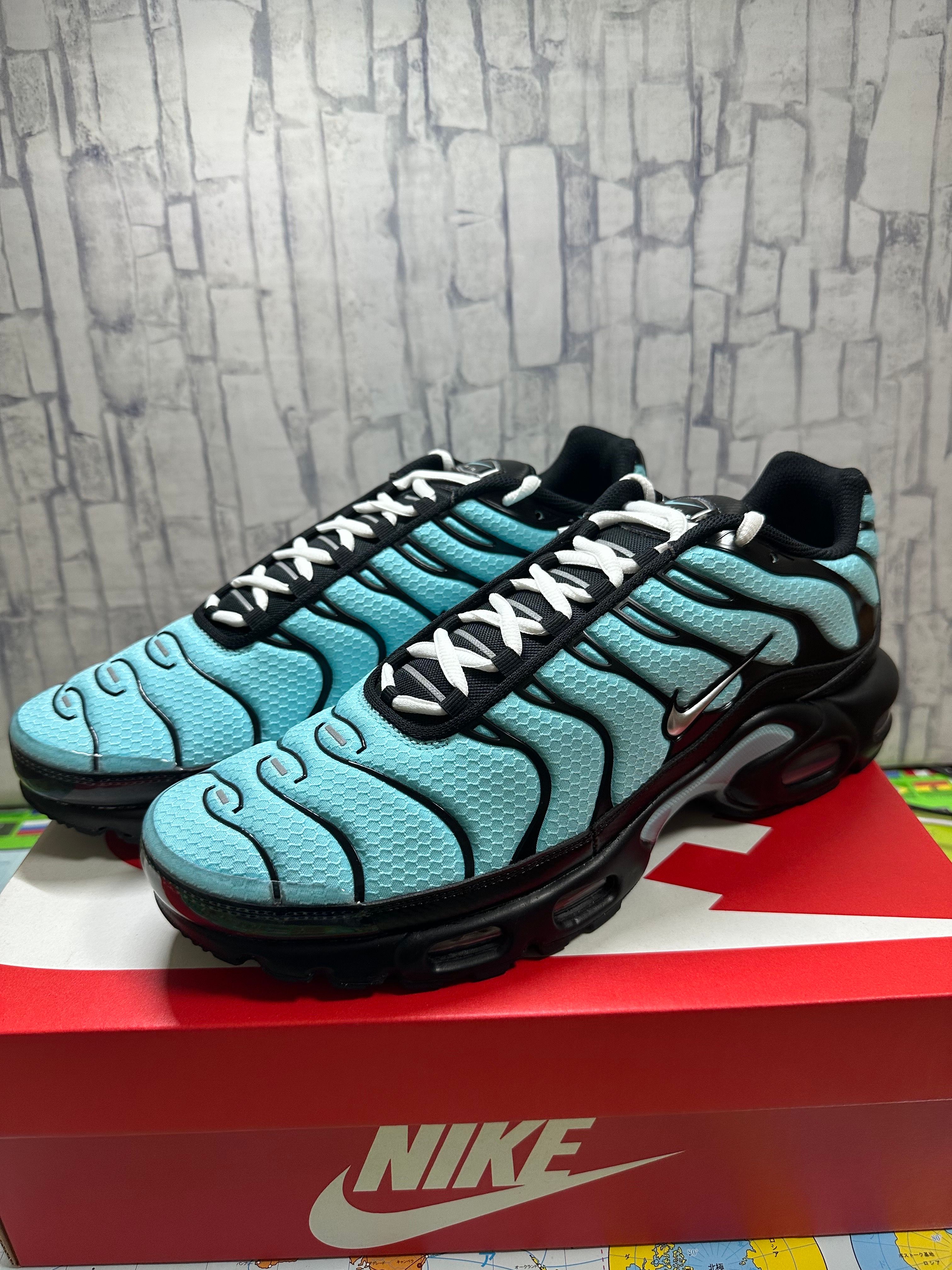 Nike Air Max Plus "Aqua/Black/White/Metallic Silver"