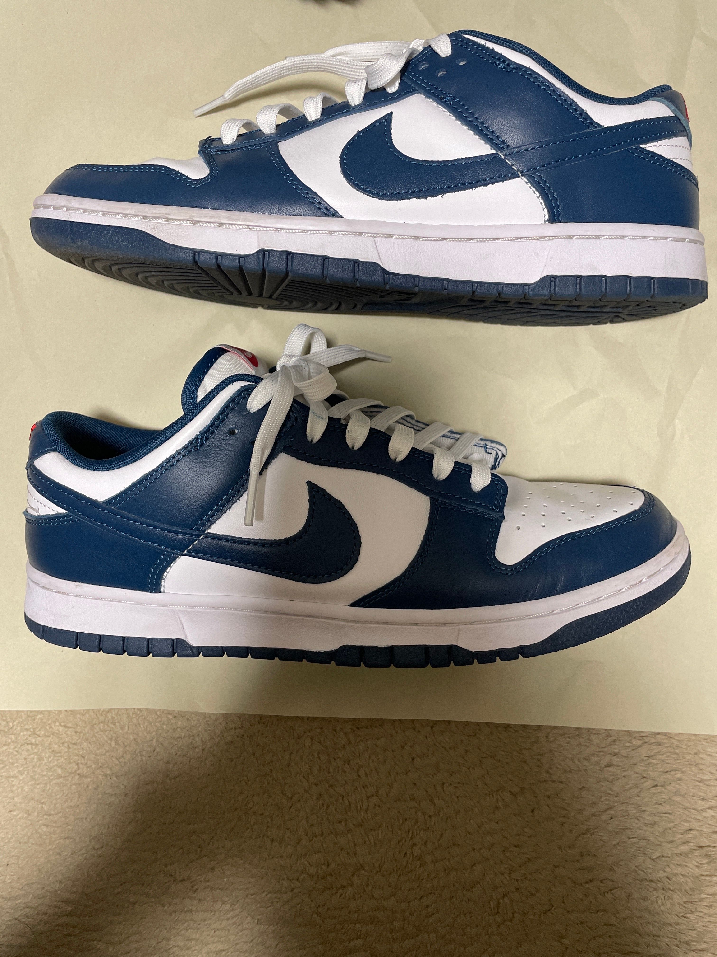 Nike Dunk Low "Valerian Blue"