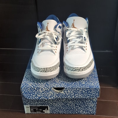 Nike Air Jordan 3 Retro "True Blue and Copper"