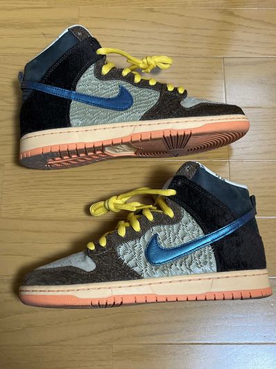 Concepts × Nike SB Dunk High "Duck"