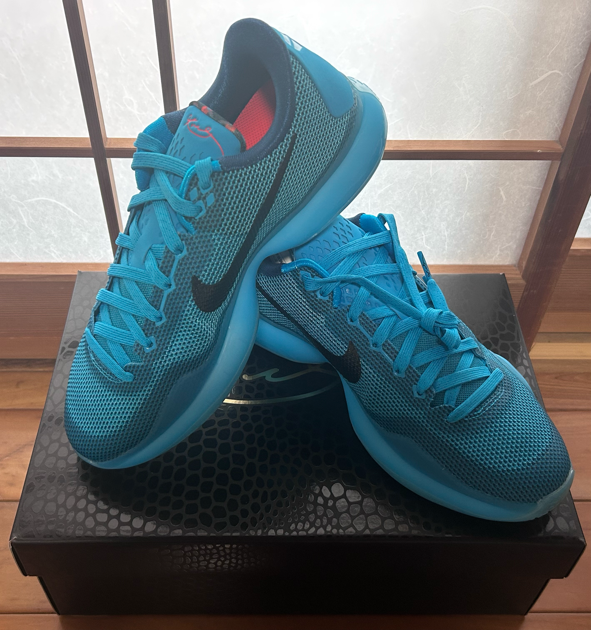 Nike Kobe 10 Low Protro "5AM Flight"