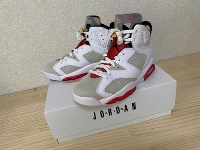 Nike Air Jordan 6 "Neutral Grey/Hare"