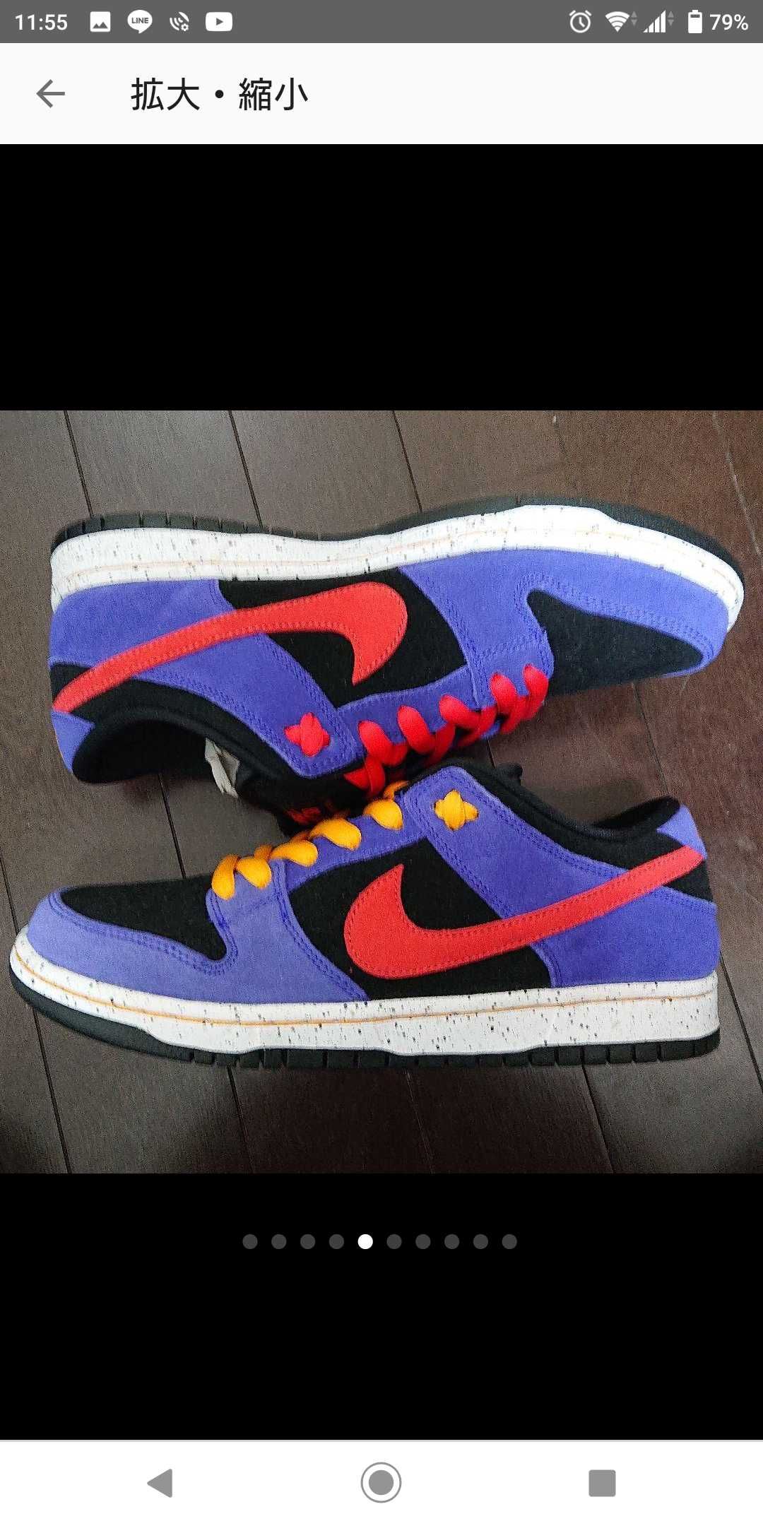 Nike SB Dunk Low "ACG Terra"