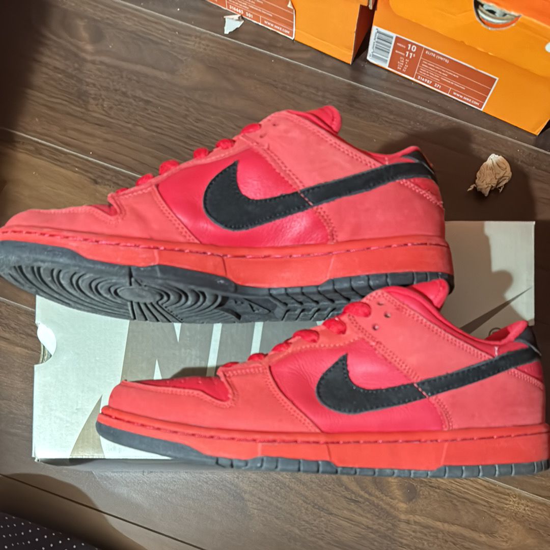 NIKE SB DUNK LOW "PURE BLOOD"