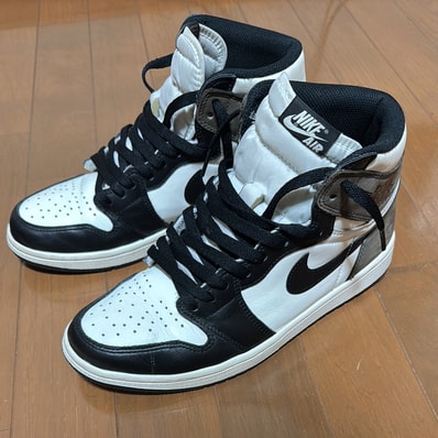Nike Air Jordan 1 High OG "Sail/Dark Mocha/Black"