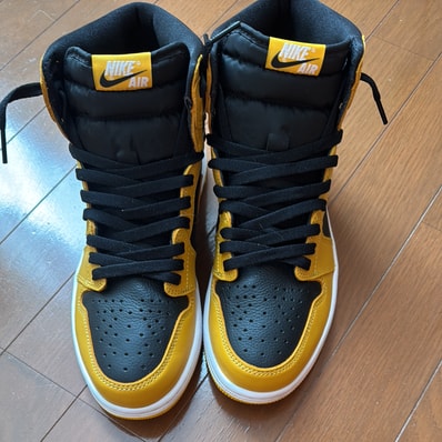 Nike Air Jordan 1 High OG "Pollen"