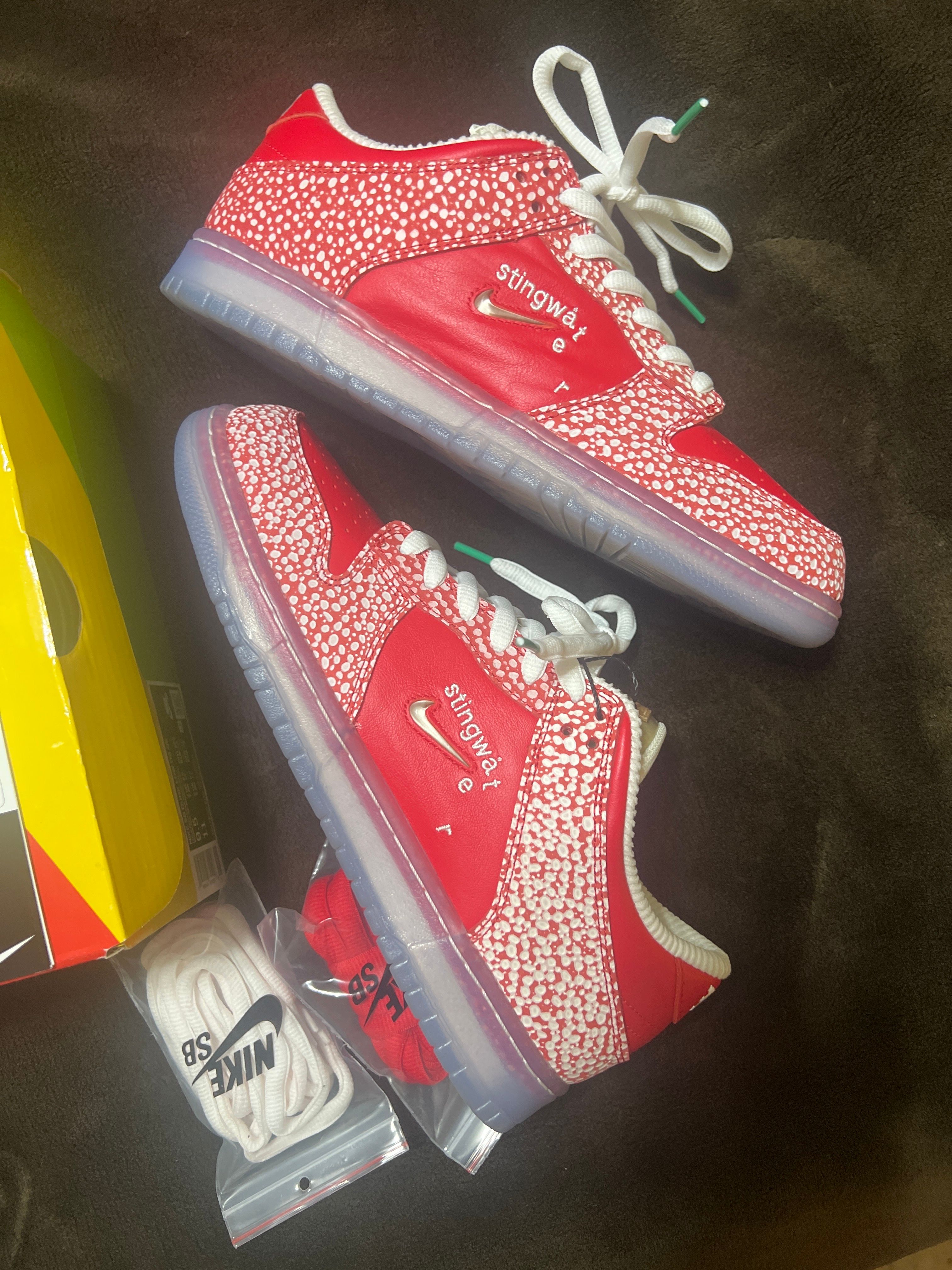 Stingwater × Nike SB Dunk Low "Magic Mushroom"